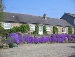 Felbrook Self-catering Cottage, Northumberland