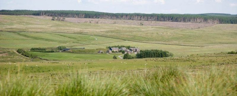 Bunkhouses at Gibbs Hill Farm